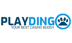 Dingo Casino