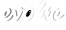 Evolve Casino