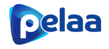 Pelaa Casino
