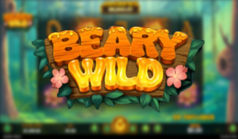 Try the RTG Slot Beary Wild With No Deposit Bonus Codes